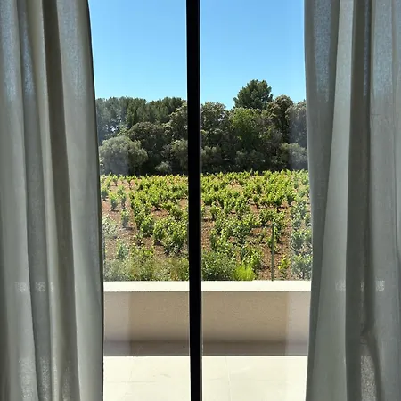 Terrasse Apercu Vignes Apartment